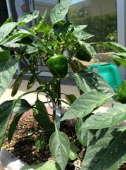 r2014.9.2 2.jpg